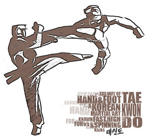 taekwondoraiders1.jpg
